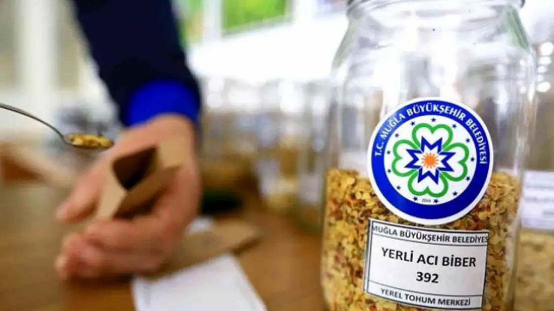 Muğla'da Bir Ayda 7 Milyon Yerel Tohum Dağıtıldı
