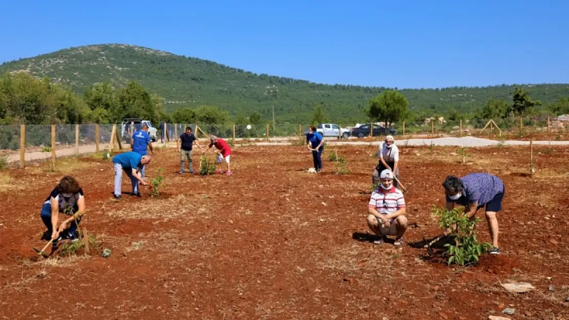 Muğla'da Yaşlı ve Engelli Vatandaşlar İçin Ceviz Bahçesi