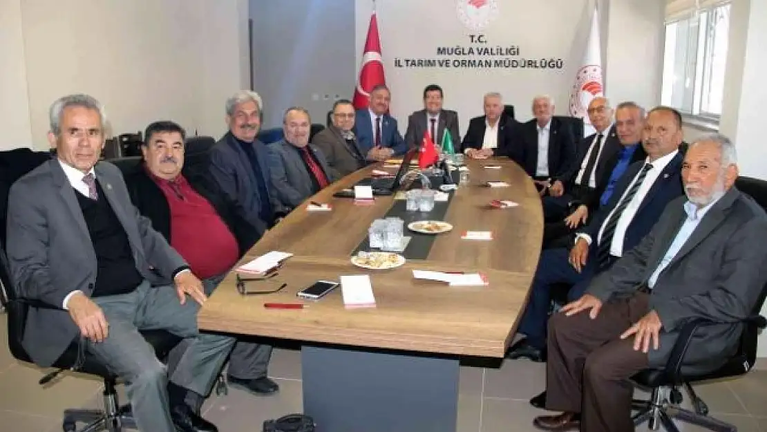Muğla Ziraat Odası Başkanlarından Kaçak Bungalovlara Tepki