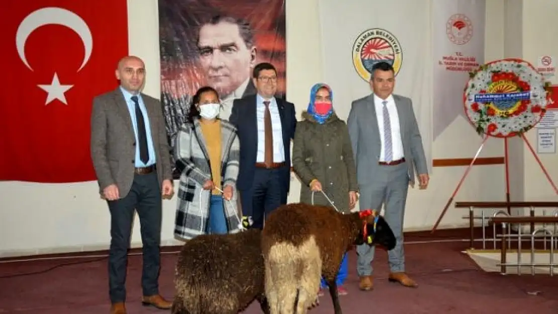 Muğlalı Kadın Üreticilere Küçükbaş Hayvan Desteği