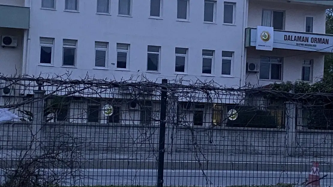 SON DAKİKA! DALAMAN ORMAN İŞLETME MÜDÜRLÜĞÜ'NDE GÖREVLİ BAZI KİŞİLERE OPERASYON