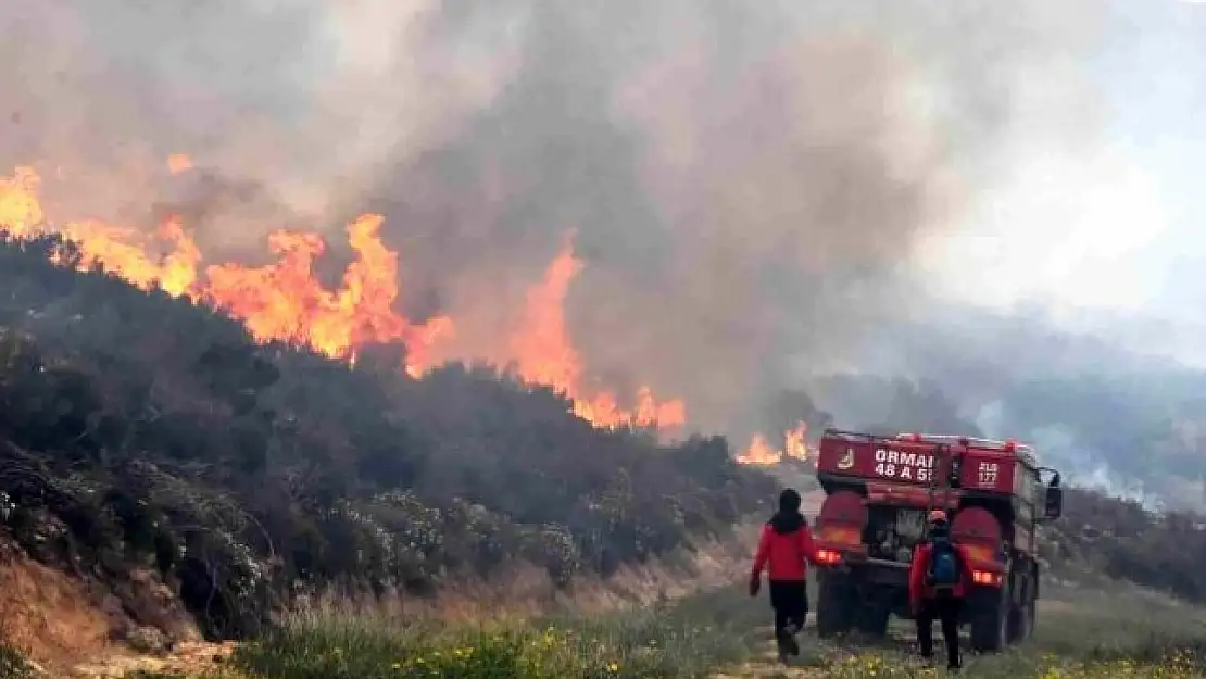 Bodrum'da Sabah Erken Saatlerde Başlayan Orman Yangınında Sabotaj İhtimali