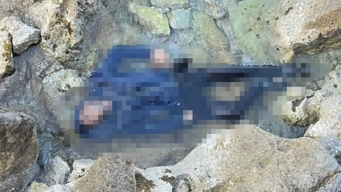 Datça'da Bir Erkek Cesedi Bulundu