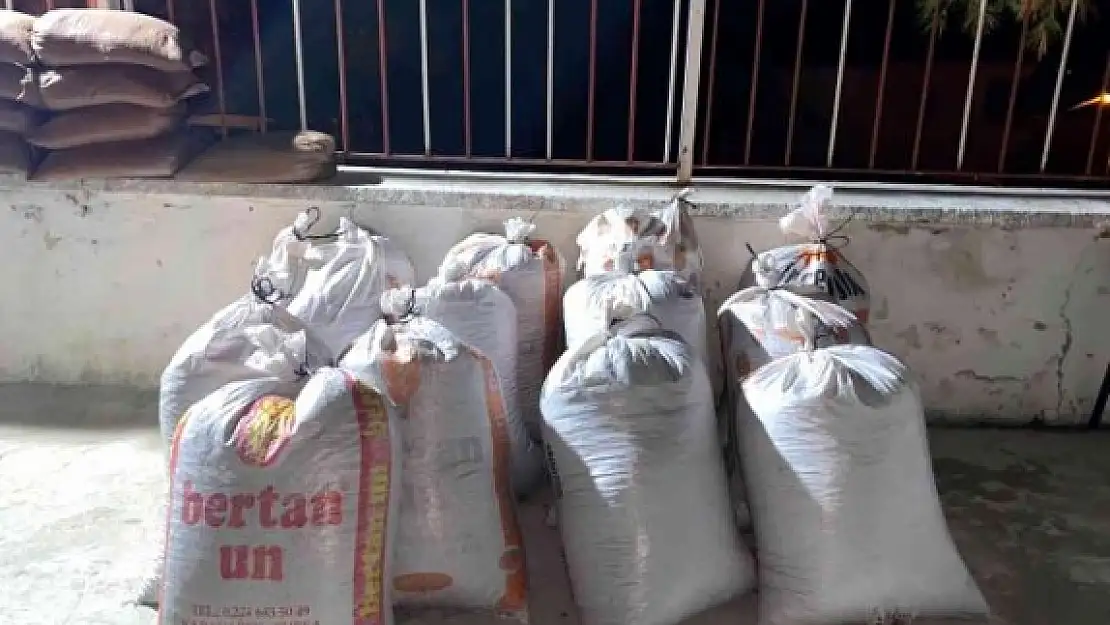 Milas'ta 650 Kilogram Çam Künarını Çaldılar