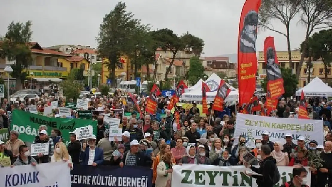 Milas'ta Halk 'Zeytin' İçin Sokağa İndi!