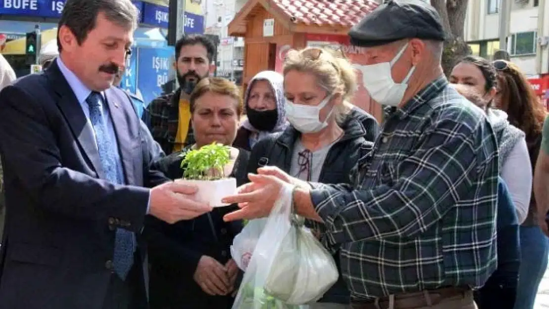 Muğla'da 1 Milyon Ata Tohumu Toprakla Buluşuyor