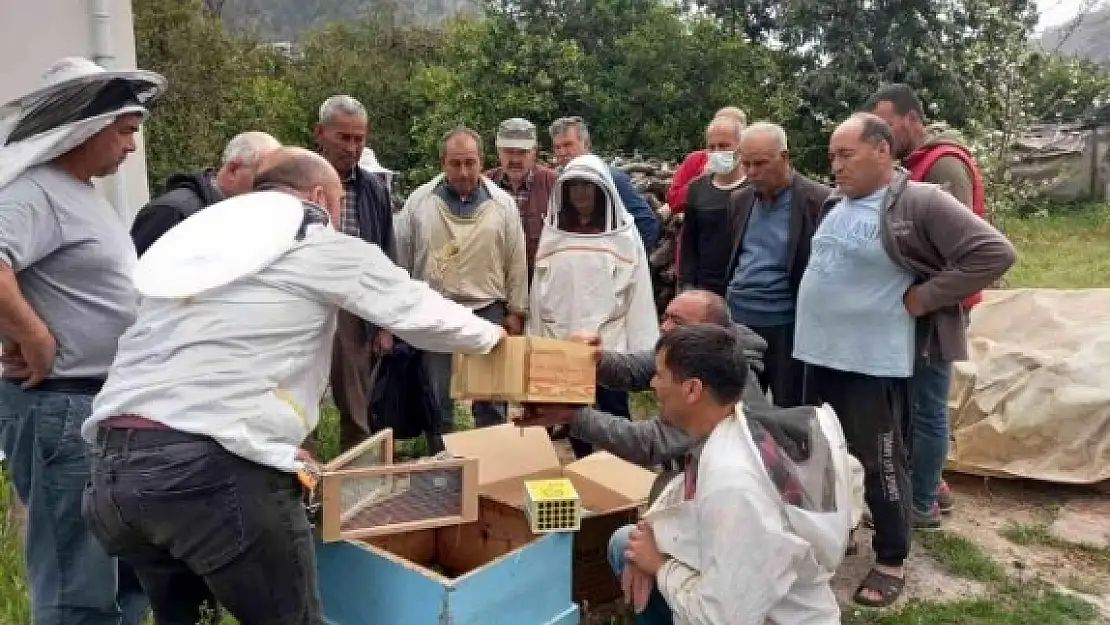 Muğla'da Arıcılara Apiterapik Ürün Eğitimi