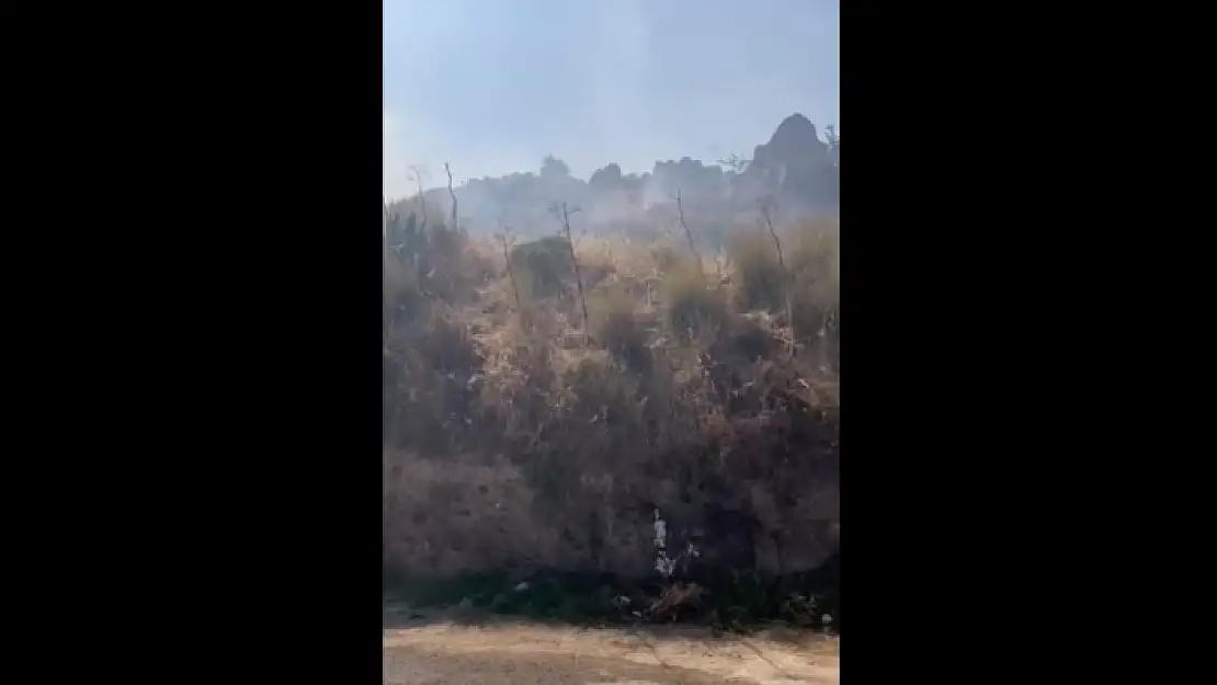 Bodrum'daki Makilik Alanda Yangın!
