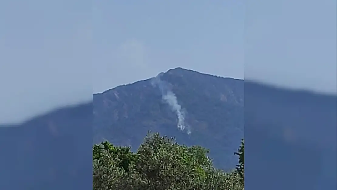 Fethiye'de Düşen Yıldırım Sonucu Orman Yangını Çıktı