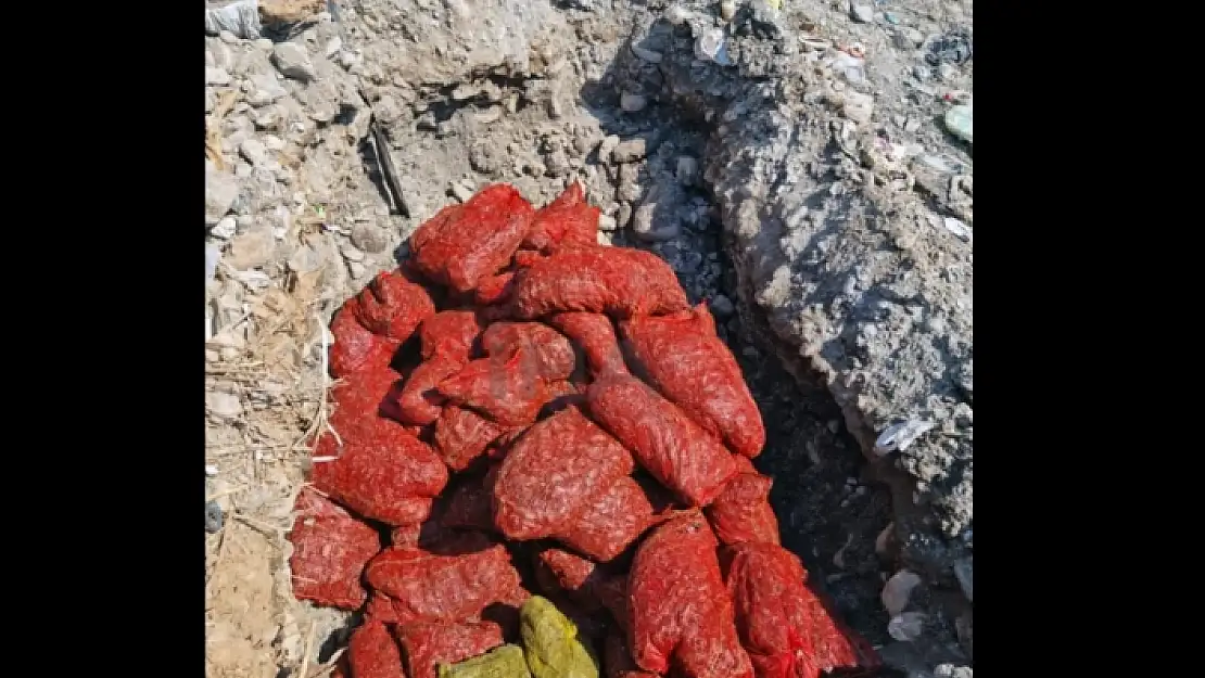 Köyceğiz'de Tüketime Elverişsiz Midye Ele Geçirildi