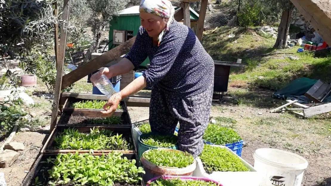 Köyceğiz'in 'Çandır Mahallesi' Eko Turizmle Ön Plana Çıkıyor
