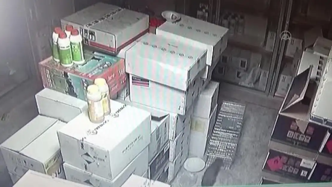 Ortaca'daki İş Yerine Giren Sansar, Doğaya Bırakıldı