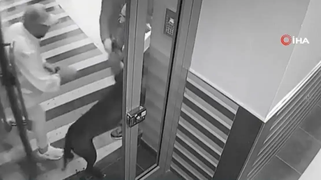 Pitbull Cinsi Köpek 4 Kişiyi Yaraladı, Köpeğin Sahibi Tutuklandı!