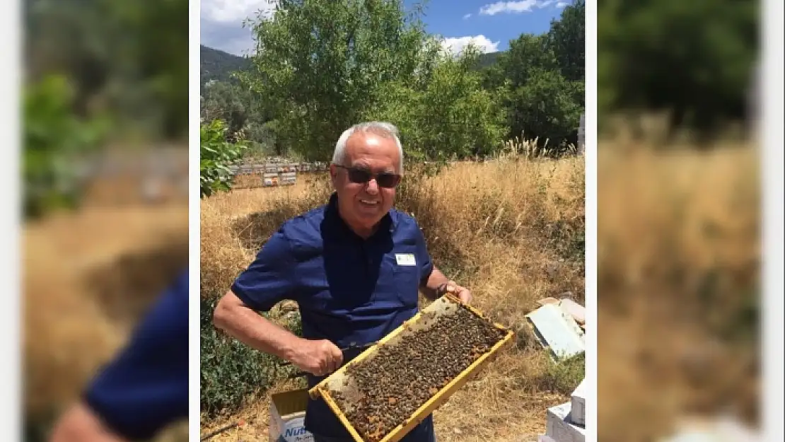 TAB Başkanı Şahin'den 'Varroa Mücadelesi' Açıklaması