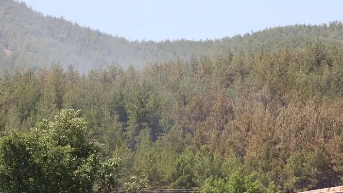 Başkan Gürün'den Marmaris'teki Yangına İlişkin Açıklama