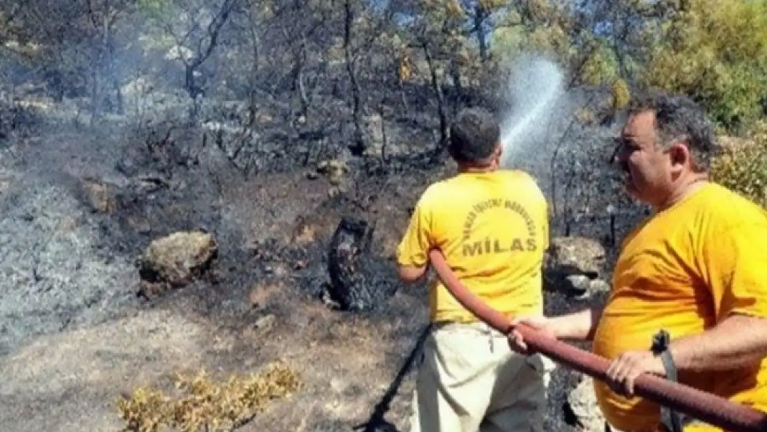 Bodrum'da Korkutan Orman Yangını