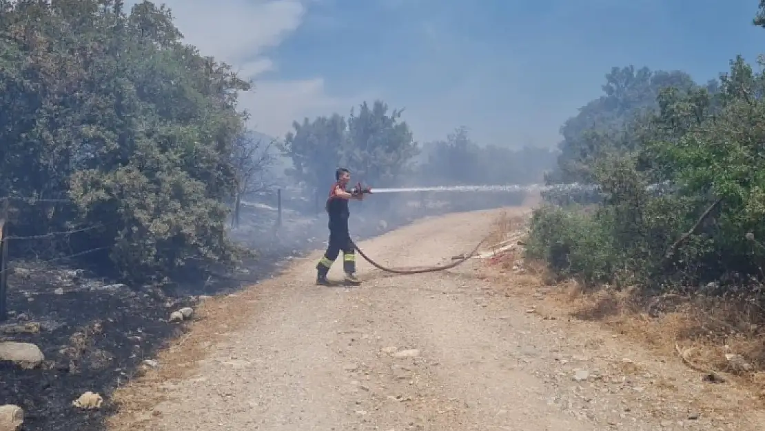 Bodrum'daki Yangın 3 Saatlik Çalışmayla Söndürüldü
