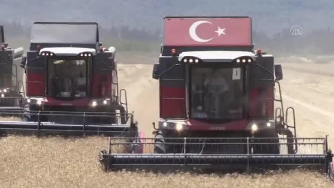 Dalaman TİGEM'de Yerli Tohum Buğdayın Hasadına Başlandı