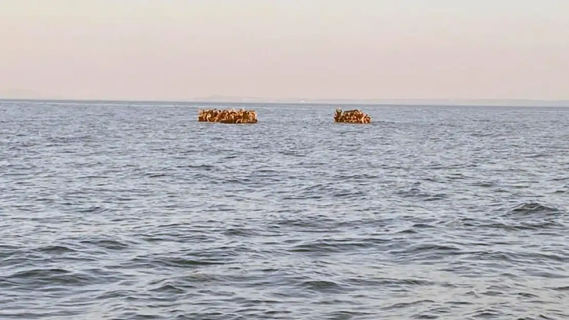Datça'da 104 Düzensiz Göçmen Kurtarıldı