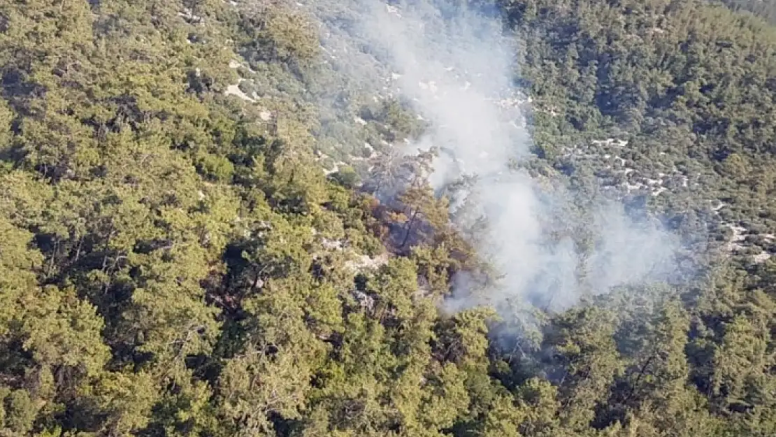 Milas'ta Orman Yangını!