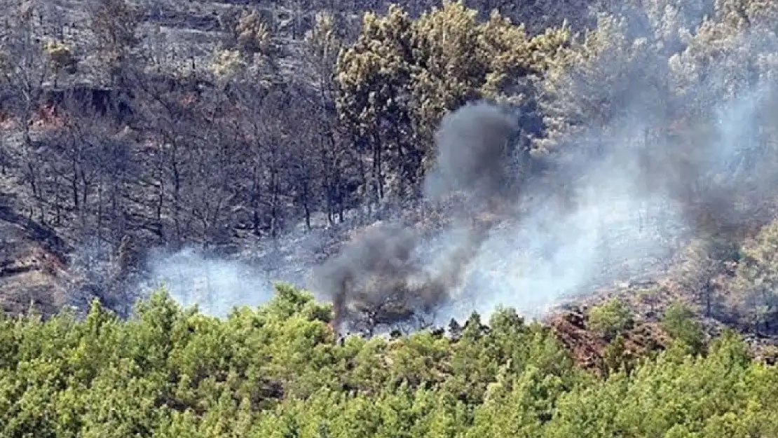 Muğla'da 5 Günde 17 Orman Yangını Çıktı