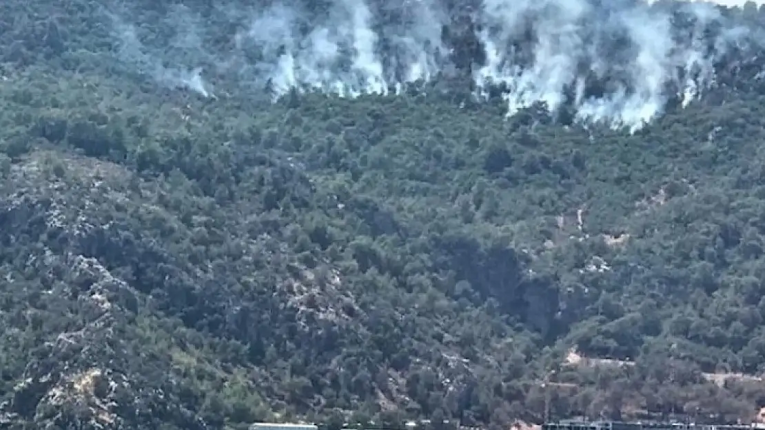 Muğla'da Bazı Ormanlara Giriş Yasağı Başladı