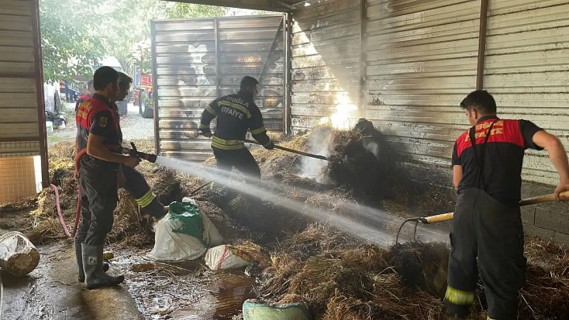 Seydikemer'de Samanlık Yangını