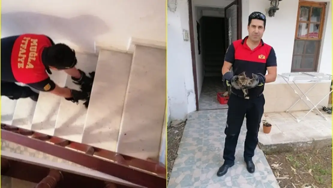 Ula'da 2 Yavru Kedi Sıkıştıkları Yerden Kurtarıldı