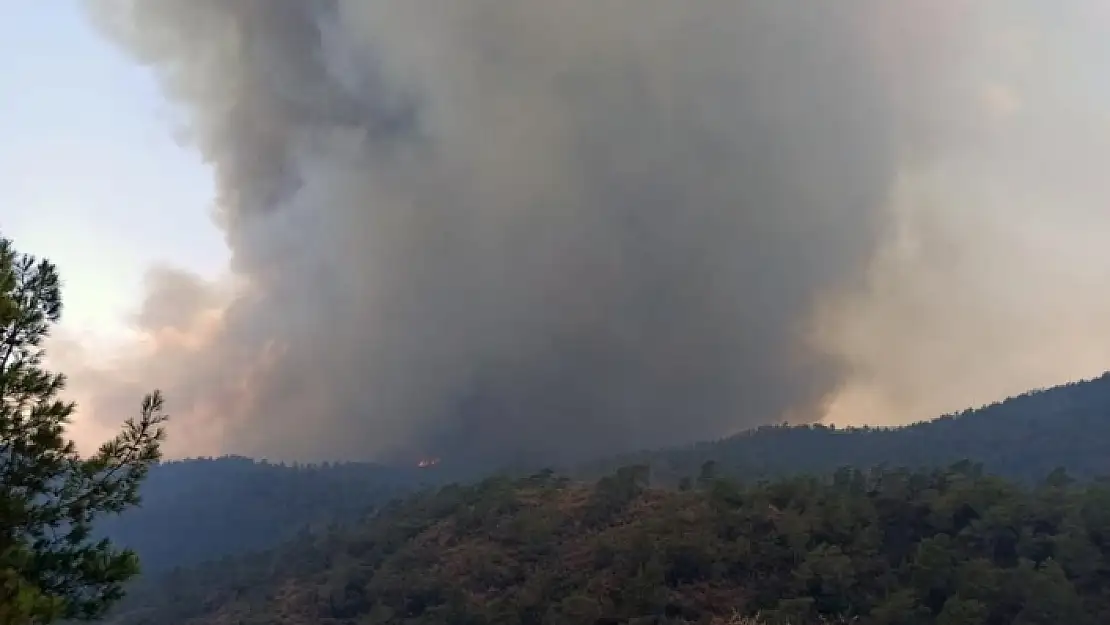 Yangın, Okluk Koyu Yönünde ilerliyor