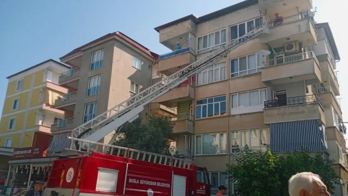 Yatağan'daki Kullanılmayan Dairede Mahsur Kalan Kediyi İtfaiye Kurtardı