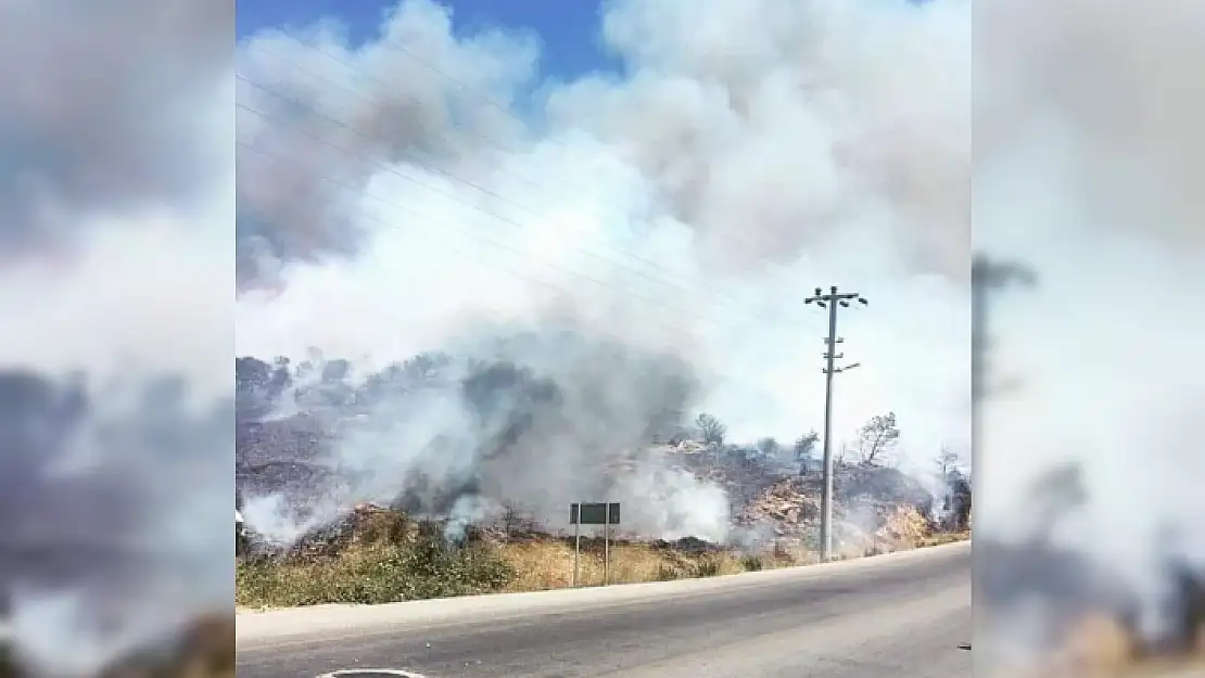 Bodrum'da Makilik Alanda Yangın