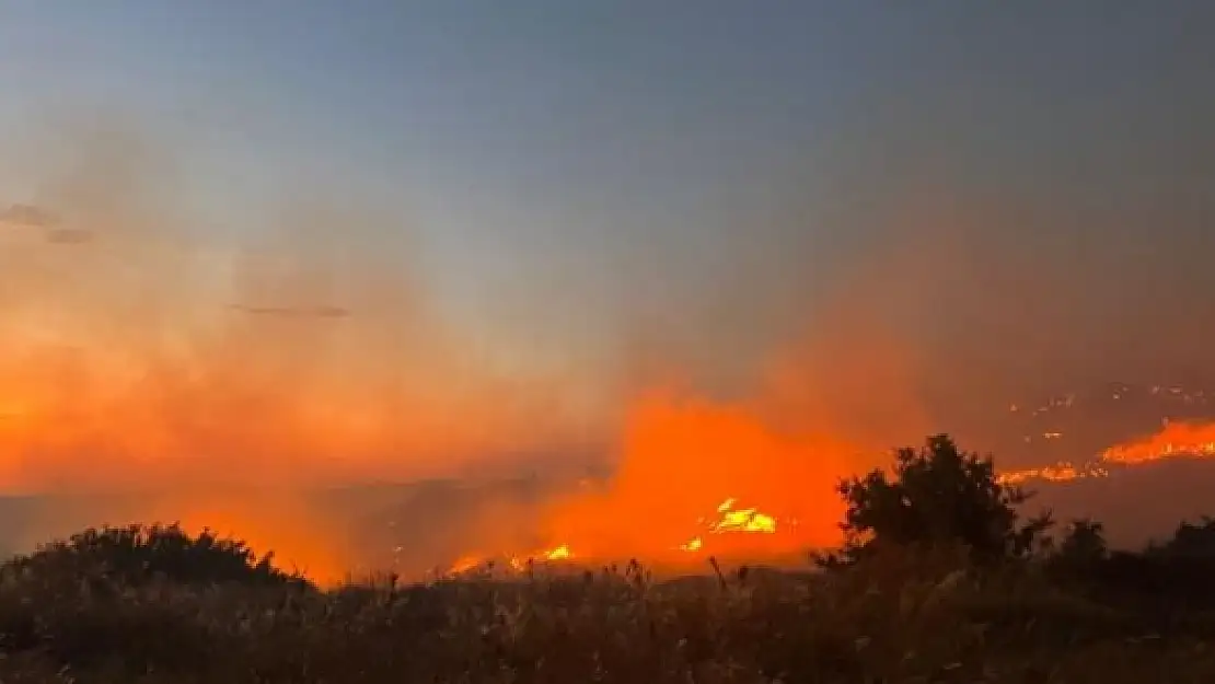 Çeşme'deki Yangının Nedeni Ortaya Çıktı!