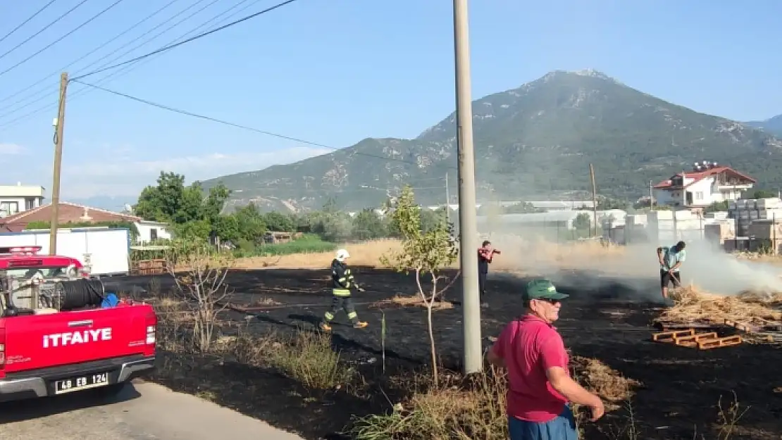 Fethiye'de Anız Yangını Panikletti