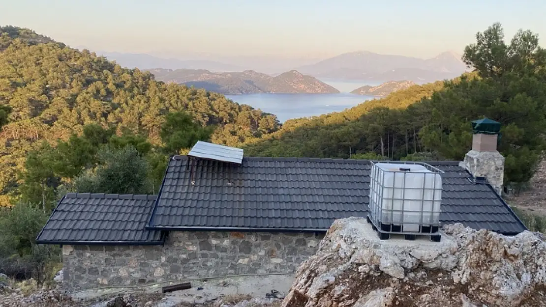 HABER48 GÜNDEME TAŞIDI, DALAMAN ORMAN İŞLETME MÜDÜRLÜĞÜ HAREKETE GEÇTİ!