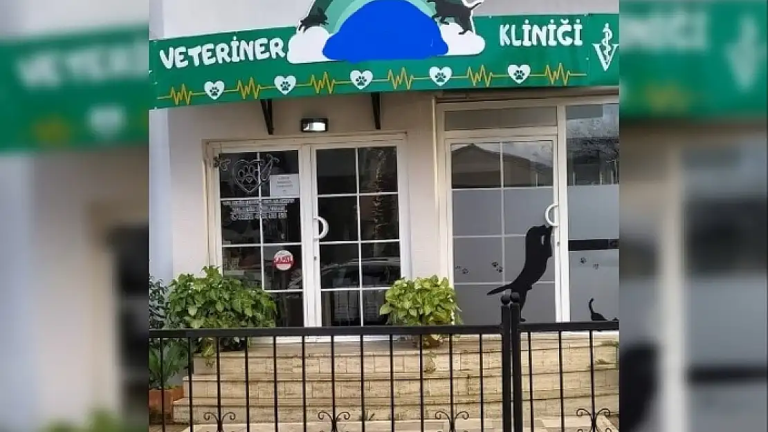 Marmaris'teki Veterinerde Köpekleri Ölen Aile Suç Duyurusunda Bulundu