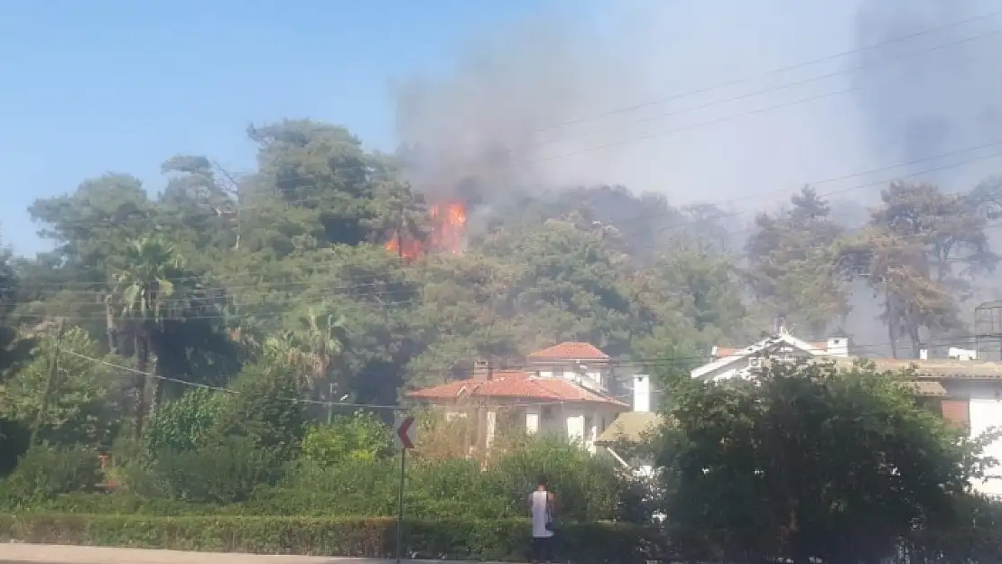 Marmaris'teki Yangının Çıkış Sebebi Belli Oldu