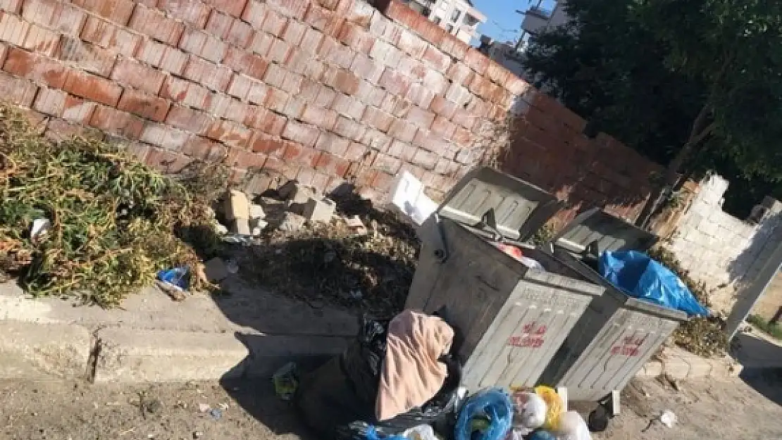 Milas'ta Mahalleli Belediyenin Çöpleri Toplamamasından Şikayetçi Oldu