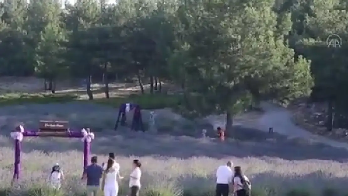 Mor Tarlalar Ziyaretçilerini Ağırlıyor