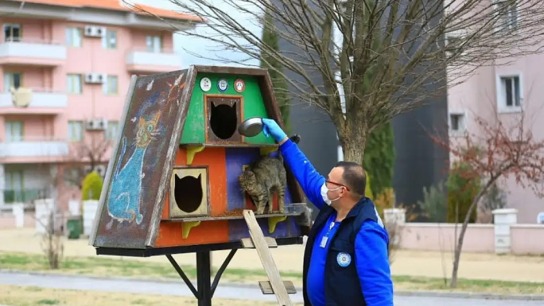 Muğla Büyükşehir, Can Dostlar İçin 5 Bin 268 Kilogram Mama Üretti