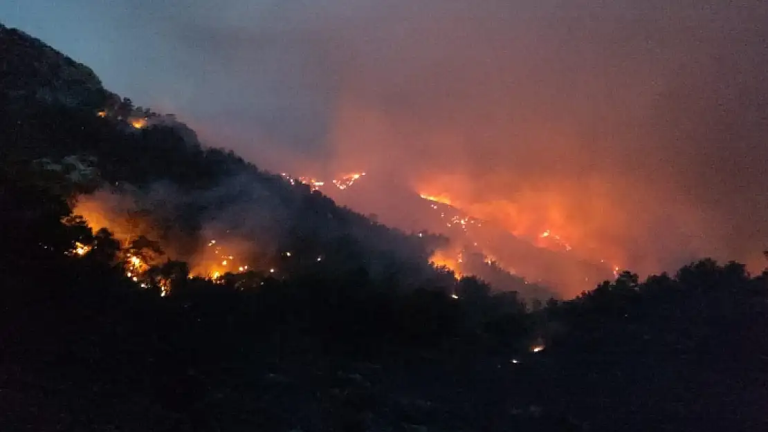 Muğla Büyükşehir'den Datça'daki Orman Yangınına İlişkin Açıklama
