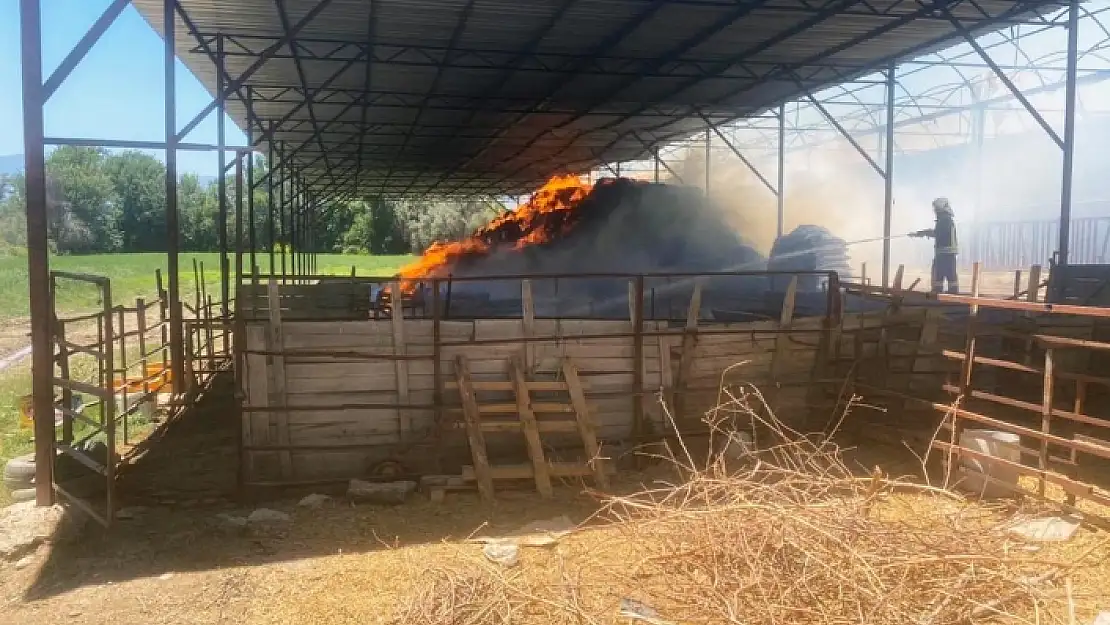 Seydikemer'de Sigara İzmariti Buğday ve Balya Samanlarını Yaktı