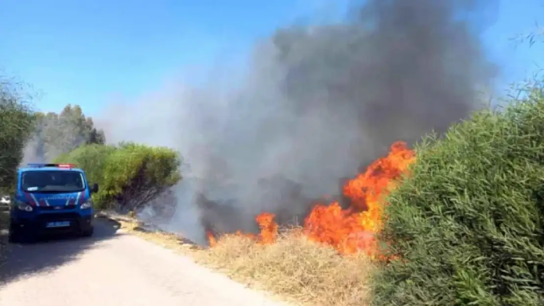 Seydikemer'de Sigara İzmaritinden Yangın Çıktı