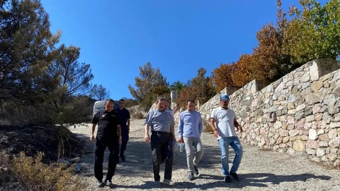 Vali Tavlı, Datça'daki Yangın Bölgesinde İncelemede Bulundu