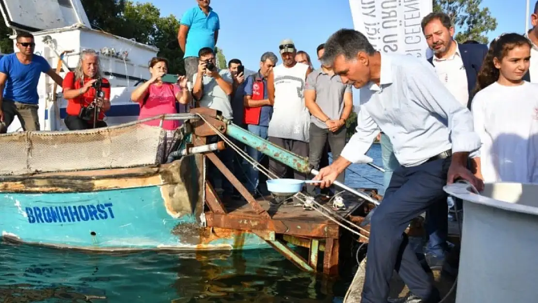 Köyceğiz Gölü'ne 260 Bin Sazan Bırakıldı