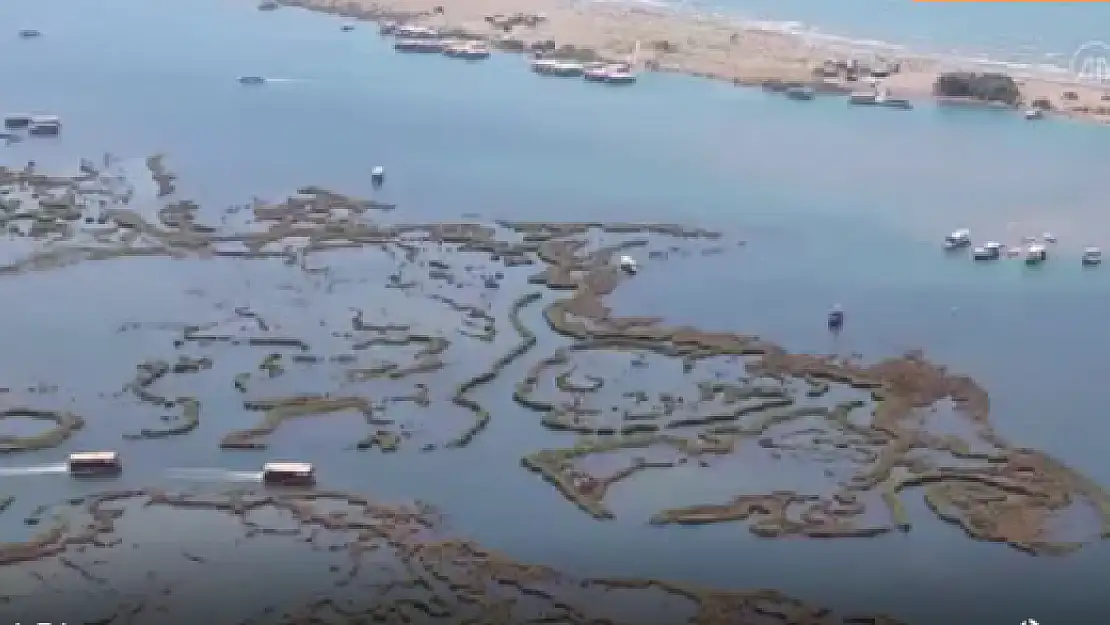 Labirenti Andıran Dalyan Sazlıklarında Yolculuk