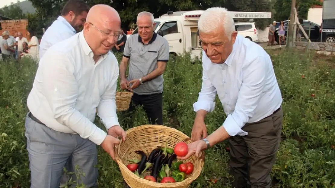 Menteşe'deki Ata Tohumu Ürünlerin Hasat Şenliği