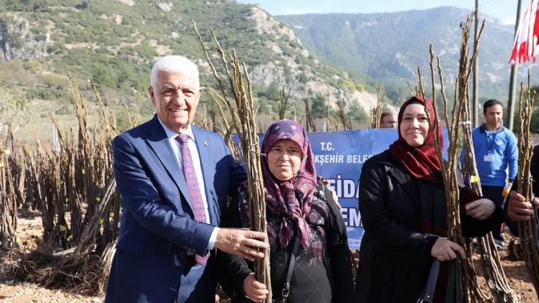 Muğla Büyükşehir'den Fidan ve Tohum Desteği