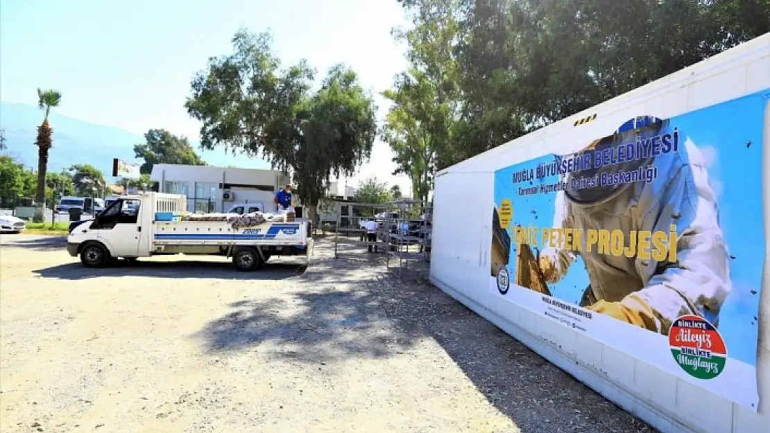 Muğla'daki Bal Petekleri Eksi 30 Derecede Şoklanıyor