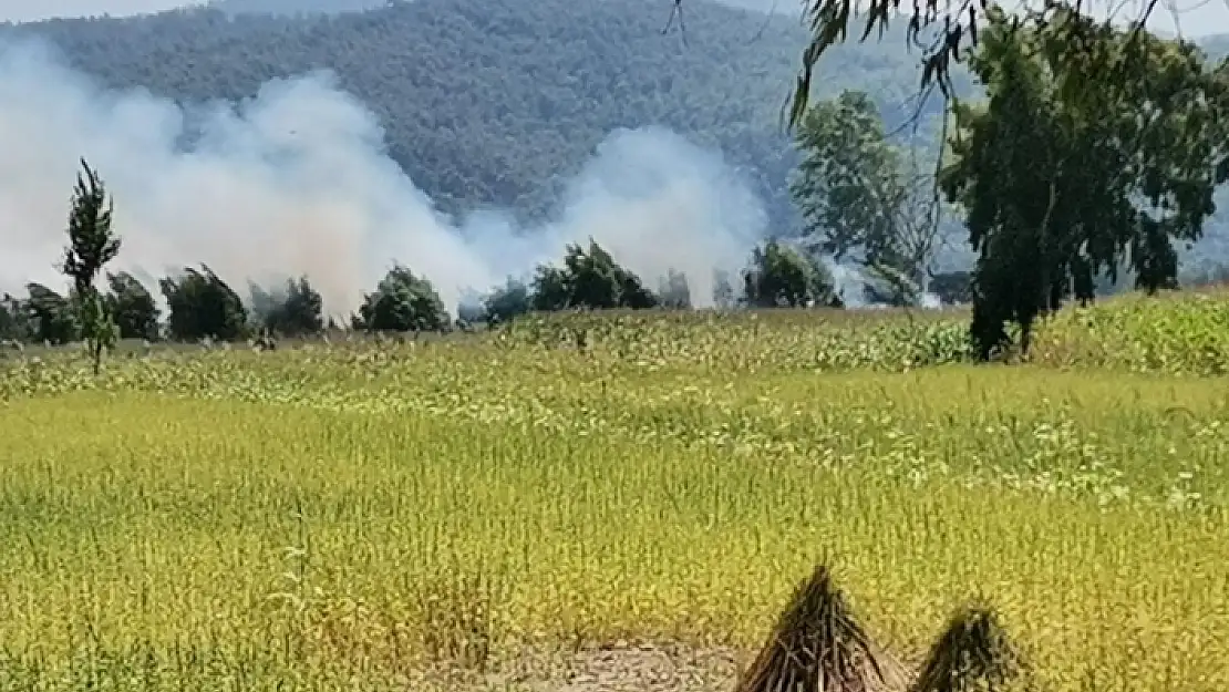 Ula'daki Tarım Arazinde Yangın