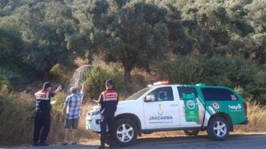 Akyaka'da Köpeği Ağaca Asarak Katleden Şüpheli 6 Ay Sonra Yakalandı, Serbest Bırakıldı